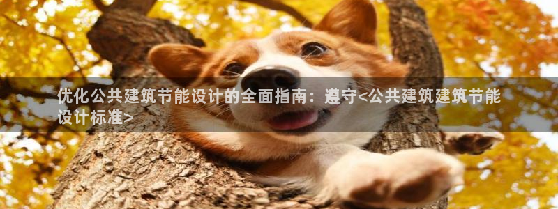 E尊国际网站：优化公共建筑节能设计的全面指南：遵守<公共建筑建筑节能
设计标准>
