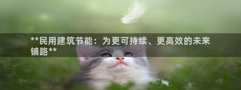 e尊国际平台：**民用建筑节能：为更可持续、更高效的未来
铺路**