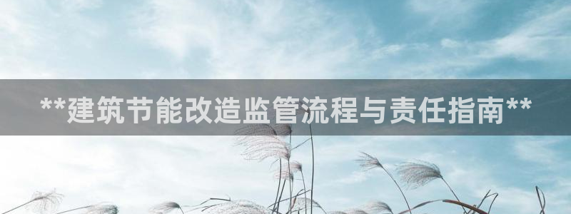 e尊国际平台：**建筑节能改造监管流程与责任指南**
