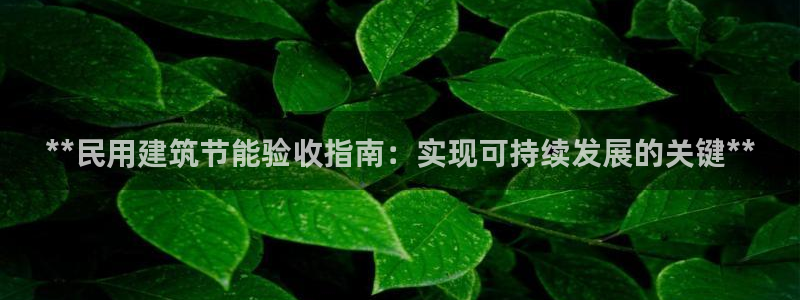 e尊国际娱乐官网地址：**民用建筑节能验收指南：实现可持续发展的关键**