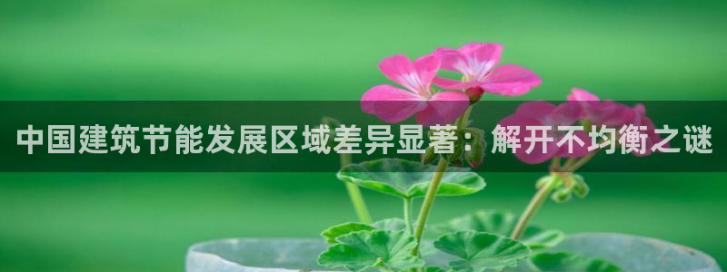 e尊国际平台：中国建筑节能发展区域差异显著：解开不均衡之谜