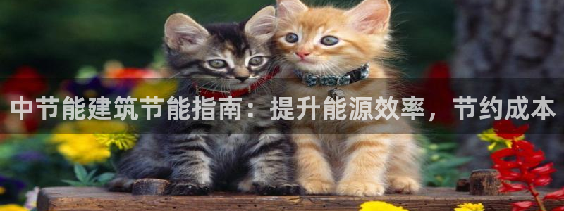 谁知道e尊国际的网址：中节能建筑节能指南：提升能源效率，节约成本