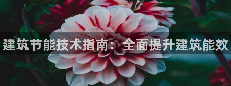 e尊国际网址：建筑节能技术指南：全面提升建筑能效