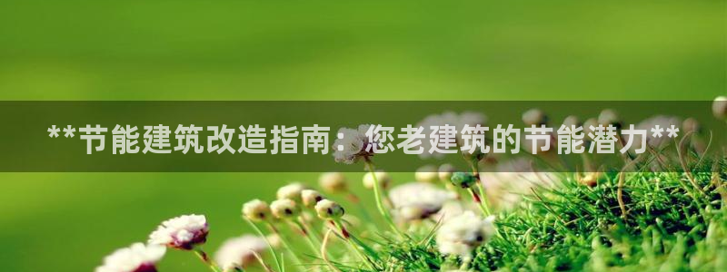 e尊国际app：**节能建筑改造指南：您老建筑的节能潜力**