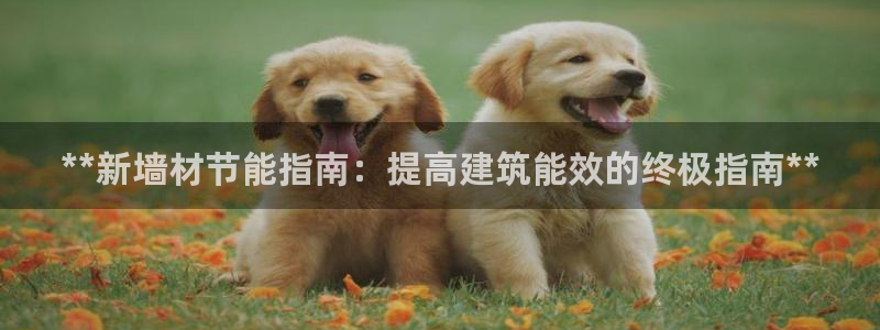 e尊国际地址