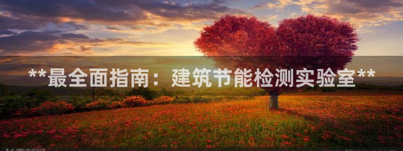 e尊国际可靠吗：**最全面指南：建筑节能检测实验室**