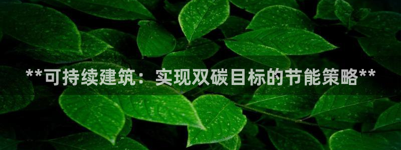 e尊国际平台：**可持续建筑：实现双碳目标的节能策略**