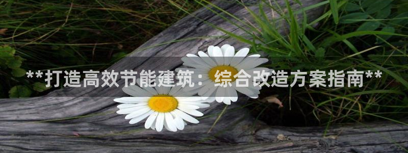 e尊国际可靠吗：**打造高效节能建筑：综合改造方案指南**
