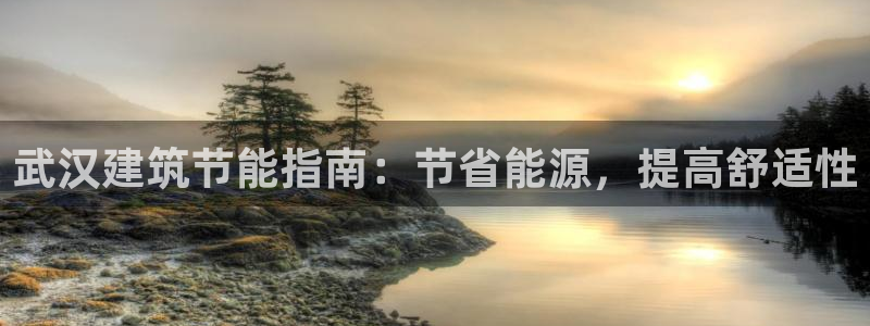 e尊国际平台：武汉建筑节能指南：节省能源，提高舒适性