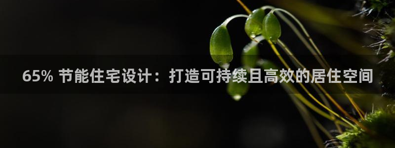 e尊国际客户端：65% 节能住宅设计：打造可持续且高效的居住空间