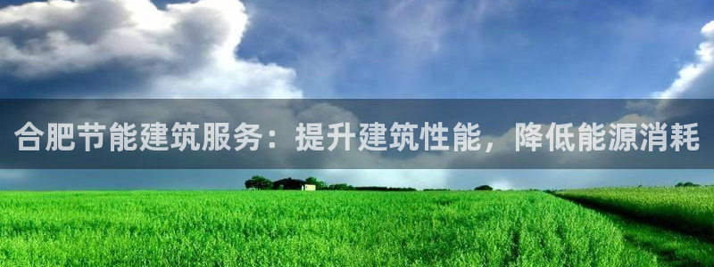 e尊国际官网app：合肥节能建筑服务：提升建筑性能，降低能源消耗
