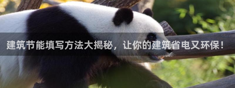 e尊国际可靠吗：建筑节能填写方法大揭秘，让你的建筑省电又环保！