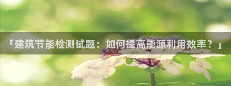 尊亿游戏国际官网：「建筑节能检测试题：如何提高能源利用效率？」