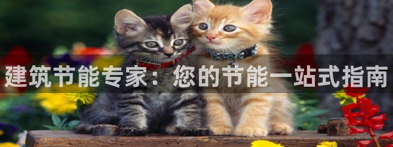 e尊平台：建筑节能专家：您的节能一站式指南