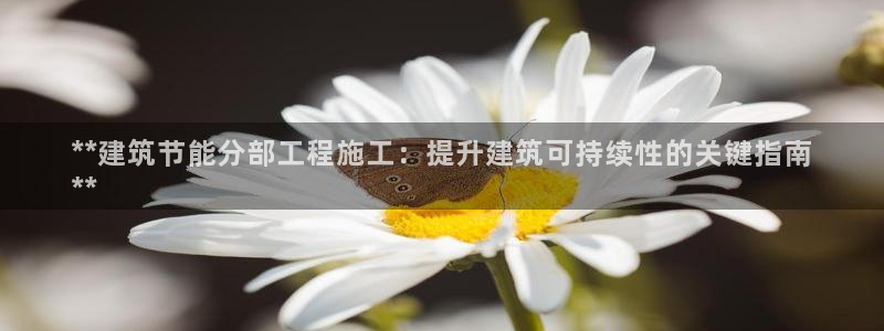e尊国际可靠吗：**建筑节能分部工程施工：提升建筑可持续性的关键指南
**