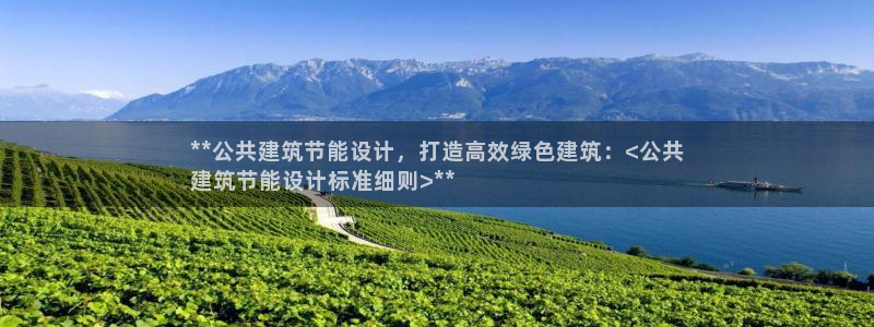 e尊国际的手机登录网站：**公共建筑节能设计，打造高效绿色建筑：<公共
建筑节能设计标准细则>**