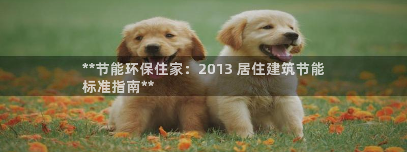 e尊国际-可可计划：**节能环保住家：2013 居住建筑节能
标准指南**