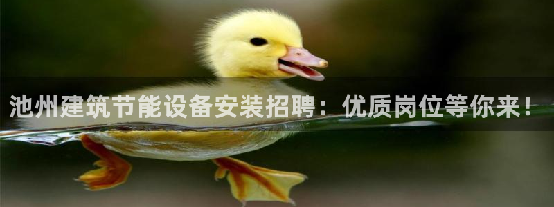 e尊国际地址：池州建筑节能设备安装招聘：优质岗位等你来！