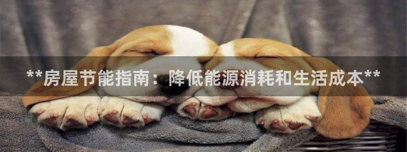 e尊国际-e尊国际官网：**房屋节能指南：降低能源消耗和生活成本**