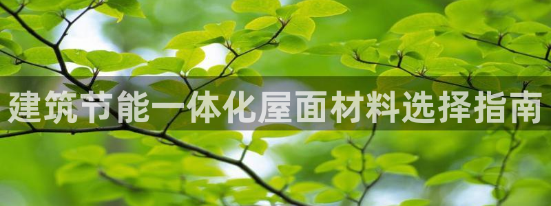 e尊国际官方网站：建筑节能一体化屋面材料选择指南