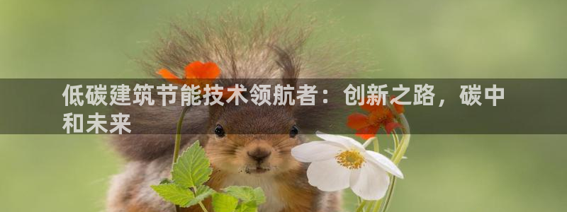 e尊国际7779：低碳建筑节能技术领航者：创新之路，碳中
和未来