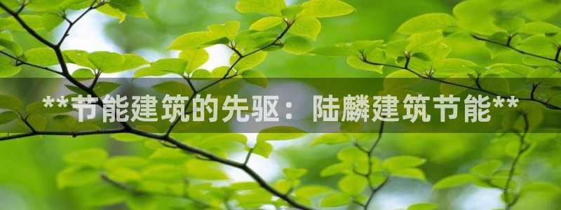 E尊国际网站：**节能建筑的先驱：陆麟建筑节能**