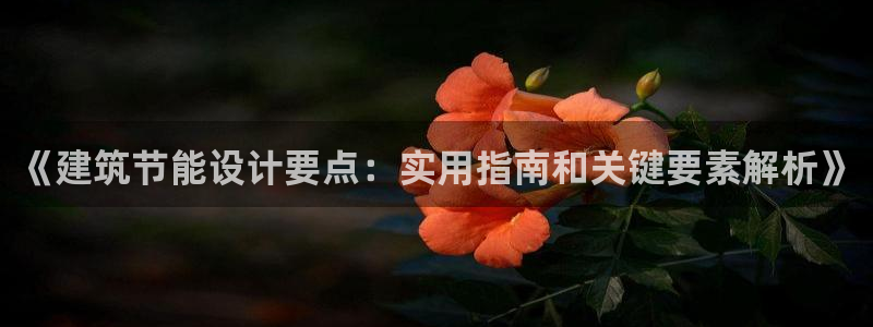 e尊国际娱乐官网下载：《建筑节能设计要点：实用指南和关键要素解析》