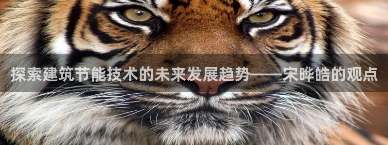 e尊国际是个黑网：探索建筑节能技术的未来发展趋势——宋晔皓的观点