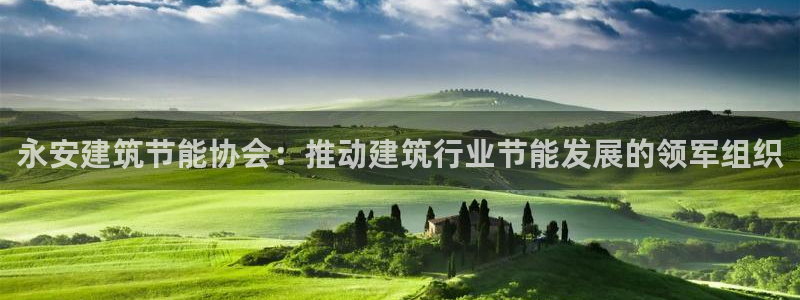e尊平台：永安建筑节能协会：推动建筑行业节能发展的领军组织