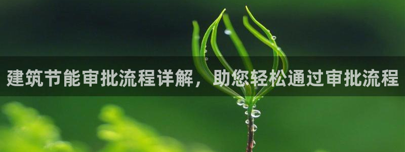 E尊国际网站：建筑节能审批流程详解，助您轻松通过审批流程