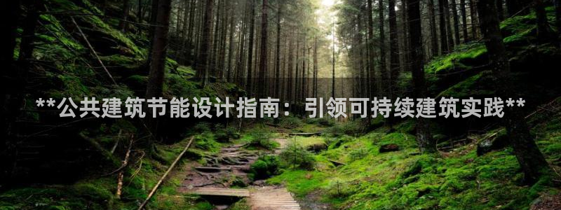 e尊国际客户端：**公共建筑节能设计指南：引领可持续建筑实践**