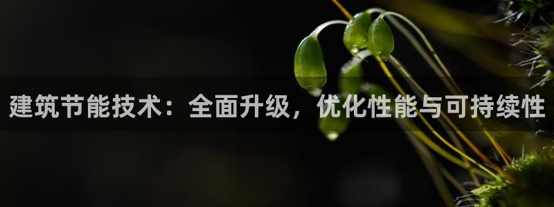 谁知道e尊国际的网址：建筑节能技术：全面升级，优化性能与可持续性