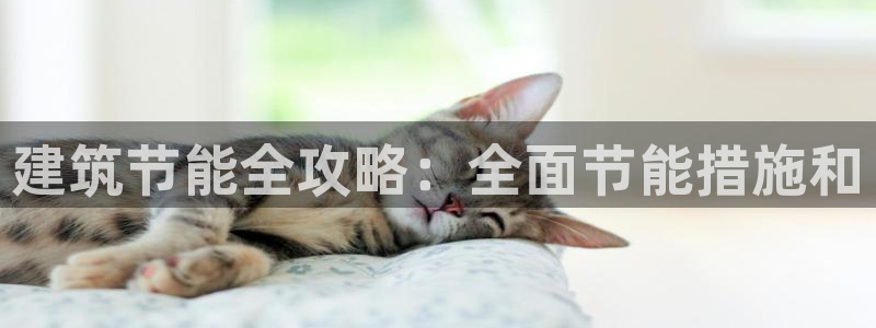 尊亿娱乐国际官网：建筑节能全攻略：全面节能措施和