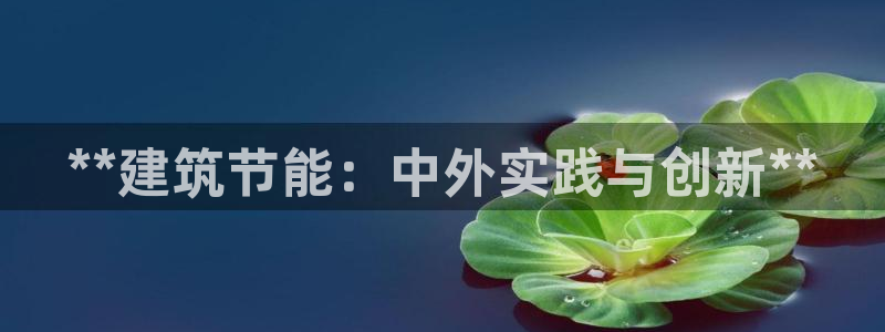 谁知道e尊国际的网址：**建筑节能：中外实践与创新**