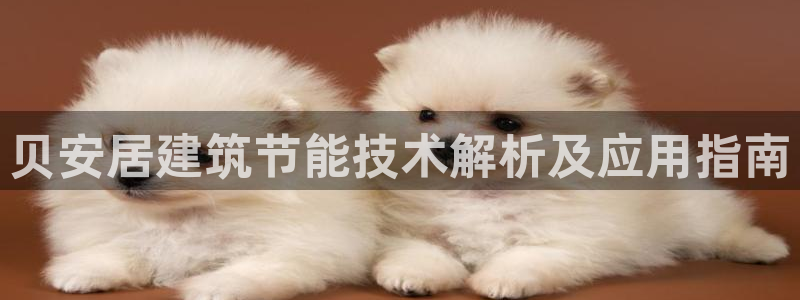 e尊国际地址：贝安居建筑节能技术解析及应用指南