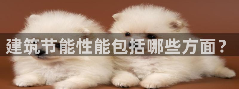 e尊国际客户端下载：建筑节能性能包括哪些方面？