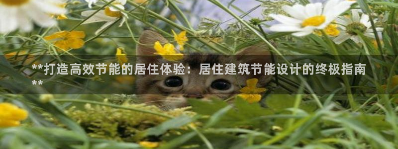 e尊国际客户端：**打造高效节能的居住体验：居住建筑节能设计的终极指南
**