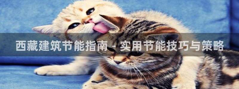 e尊国际官方网站：西藏建筑节能指南 - 实用节能技巧与策略