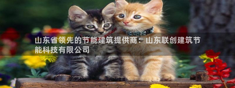 E尊国际：山东省领先的节能建筑提供商：山东联创建筑节
能科技有限公司