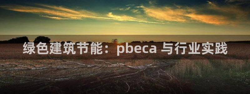 e尊国际官网·网址：绿色建筑节能：pbeca 与行业实践