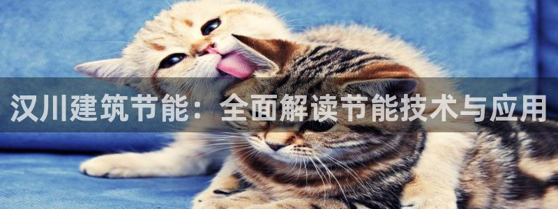 e尊国际客户端：汉川建筑节能：全面解读节能技术与应用
