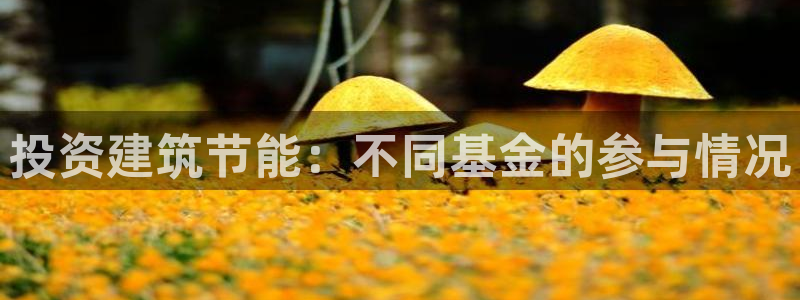 e尊国际客户端下载：投资建筑节能：不同基金的参与情况