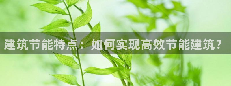 e尊官网：建筑节能特点：如何实现高效节能建筑？