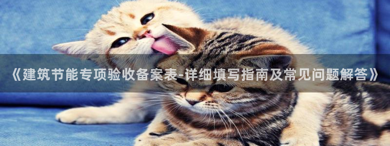 e尊国际娱乐官网地址：《建筑节能专项验收备案表-详细填写指南及常见问题解答》