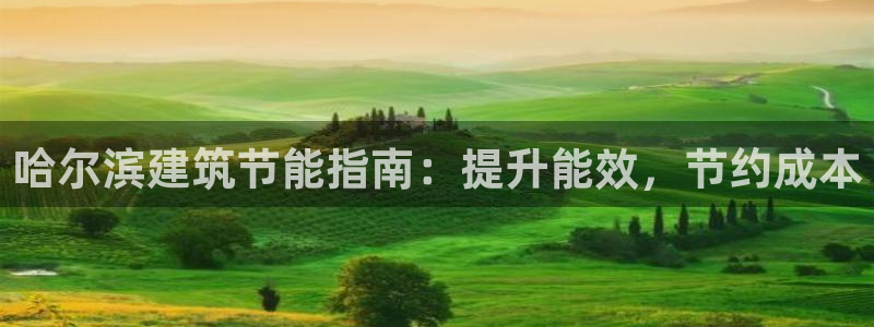 e尊国际官方网站：哈尔滨建筑节能指南：提升能效，节约成本