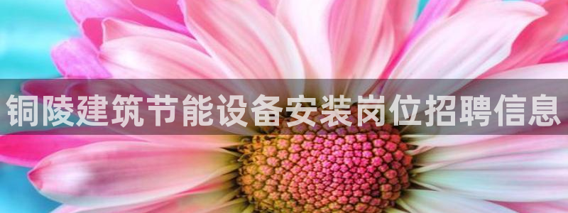 e尊体育：铜陵建筑节能设备安装岗位招聘信息