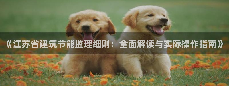 e尊国际官网：《江苏省建筑节能监理细则：全面解读与实际操作指南》