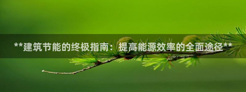 e尊国际网址：**建筑节能的终极指南：提高能源效率的全面途径**
