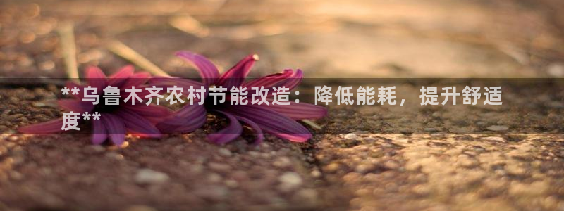 E尊国际：**乌鲁木齐农村节能改造：降低能耗，提升舒适
度**