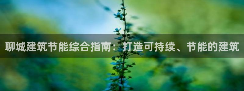 e尊国际官方网站：聊城建筑节能综合指南：打造可持续、节能的建筑